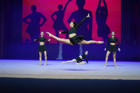 Avropa çempionatının medalçıları karyeralarını bitiriblər - FOTO
