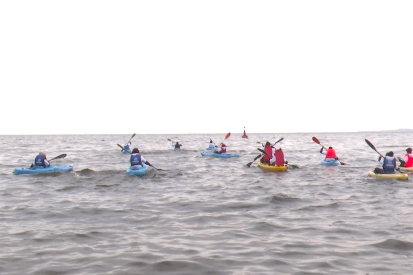 Times of free rowing training in Baku - VIDEO