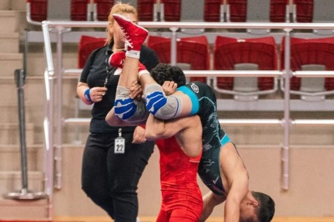 Azerbaijan Wrestling Championship starts - PHOTO