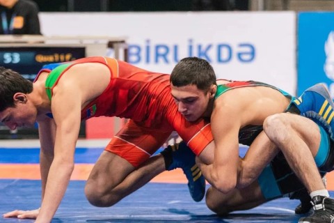 Azerbaijan Wrestling Championship starts - PHOTO