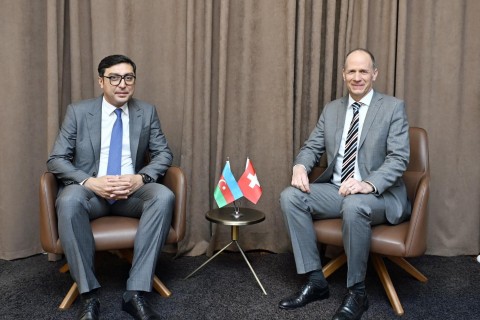 Prospects Sports cooperation between Azerbaijan and Switzerland were discussed