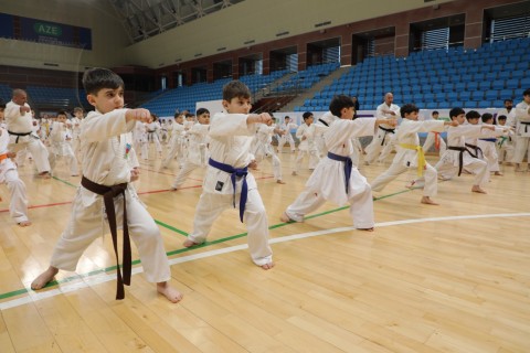 All-republic seminar on karate was held - PHOTO