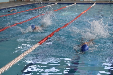 An open swimming tournament was held in Gusar - PHOTO