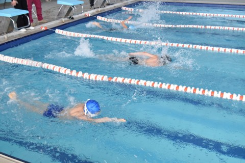 An open swimming tournament was held in Gusar - PHOTO