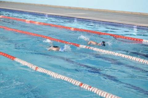 An open swimming tournament was held in Gusar - PHOTO