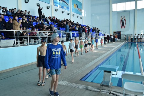 An open swimming tournament was held in Gusar - PHOTO