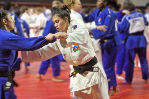 Azerbaijani judokas at the international training camp - PHOTO