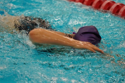 The swimming competition among state institutions has ended - PHOTO