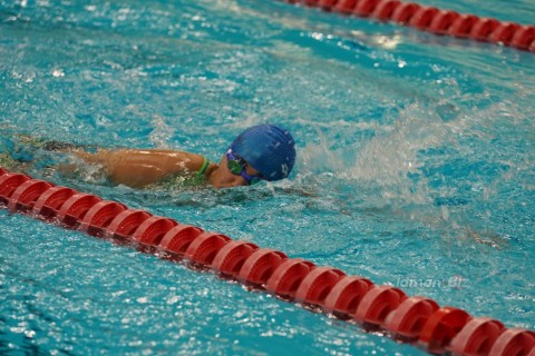 The inaugural ceremony of the swimming competition among state institutions was held - PHOTO