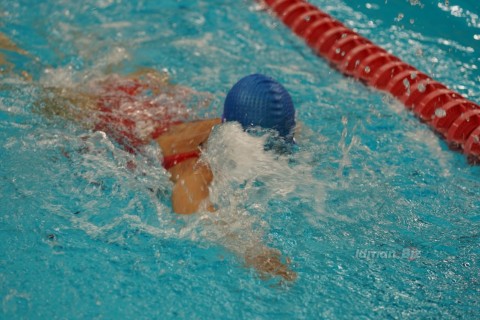 The swimming competition among state institutions has ended - PHOTO