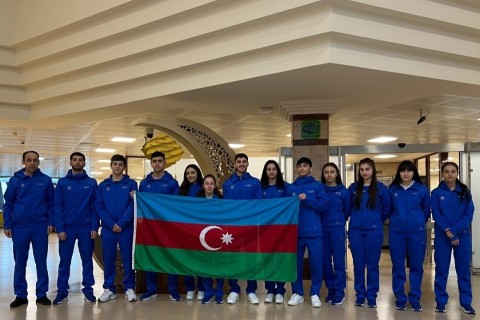 Azerbaijan's table tennis players at the next international training camp
