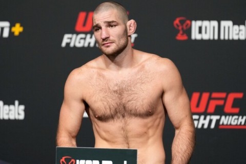 бой без правил ufc