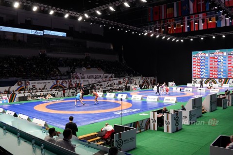 European OG Qualifier 2024 wrestling: Victory from 3 Azerbaijani wrestler - PHOTO