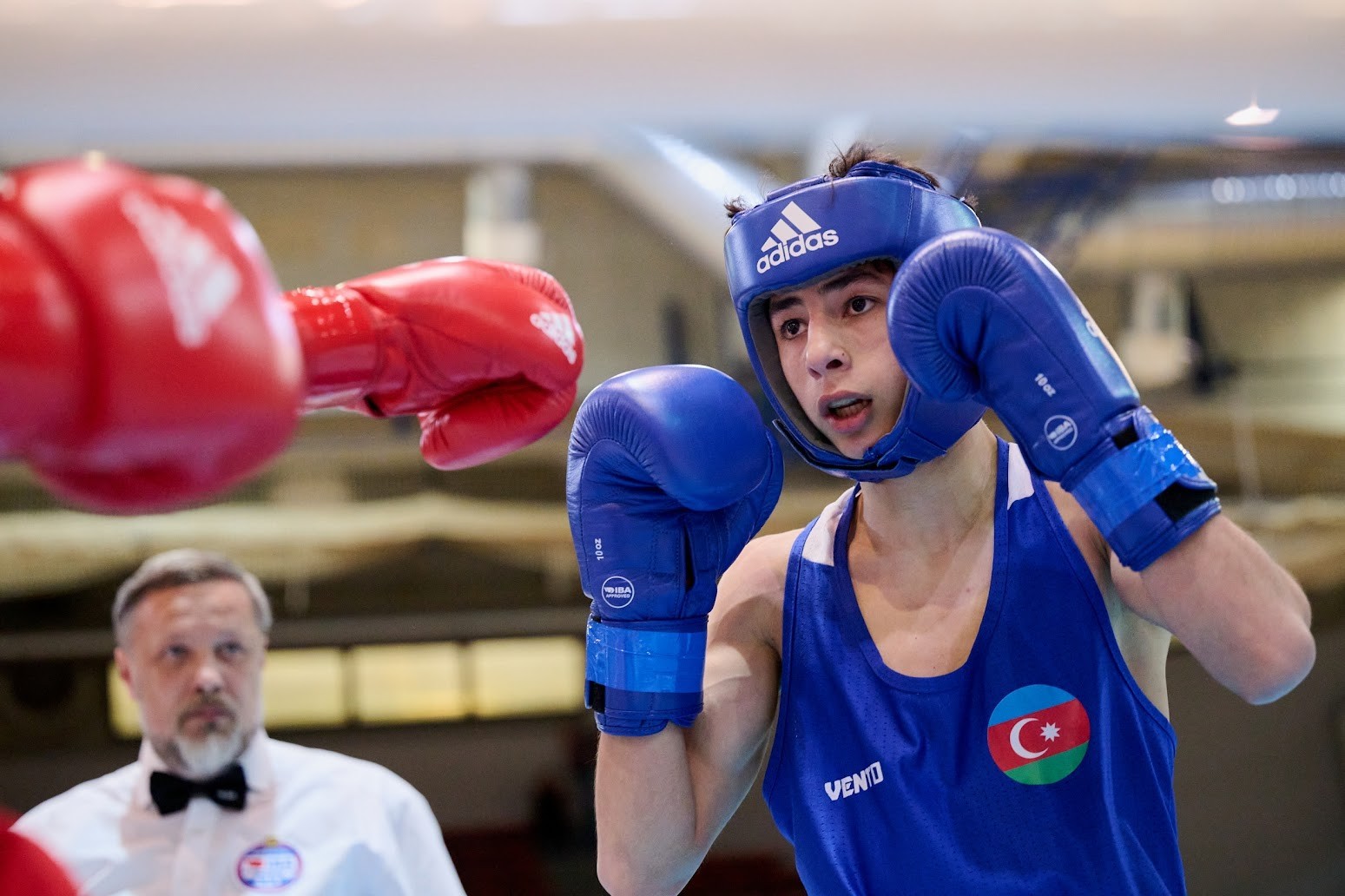 Азербайджанские боксеры - в полуфинале чемпионата Европы
