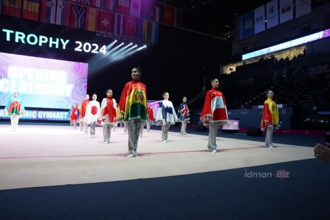 Farid Gayibov: "Development is felt in all types of gymnastics in Azerbaijan" - PHOTO - VIDEO