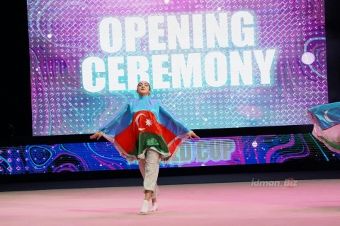 Farid Gayibov: "Development is felt in all types of gymnastics in Azerbaijan" - PHOTO - VIDEO