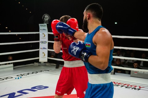 Три азербайджанских боксера вышли в 1/4 финала чемпионата Европы