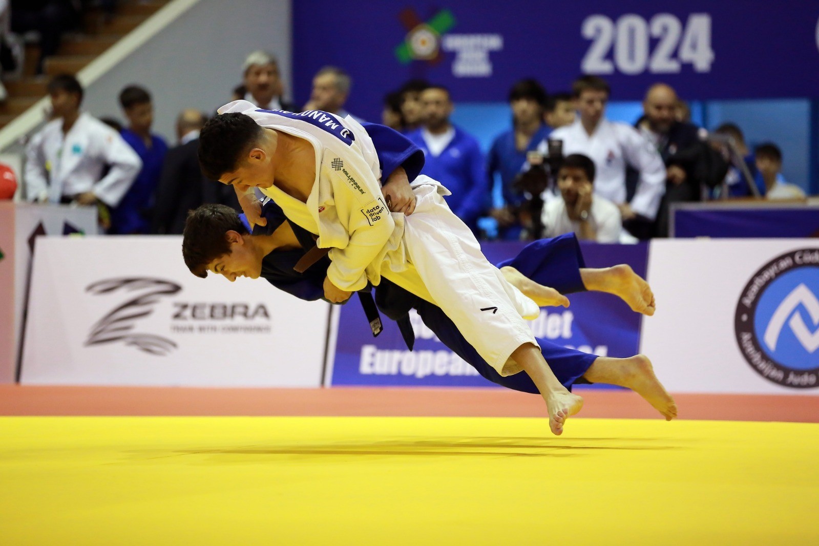 Millimiz Avropa kubokunu 14 medalla başa vurub