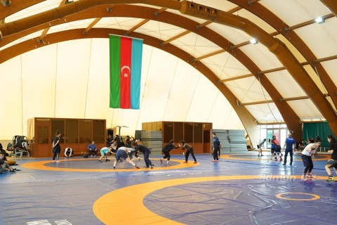 Azerbaijani wrestlers' last preparation for the license tournament  - PHOTO - VIDEO