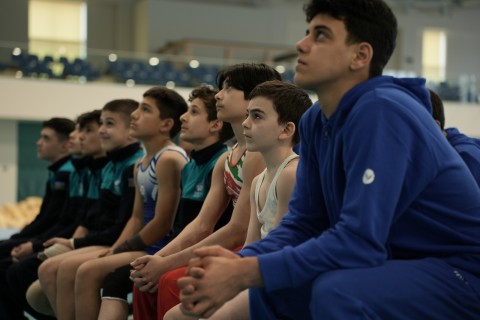 Serbiya Gimnastika Federasiyasının prezidentindən Bakıda ustad dərsləri - FOTO