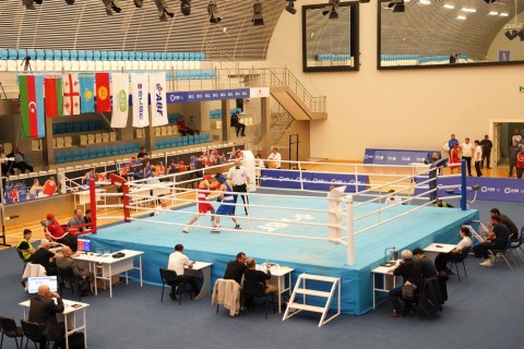 Heydar Aliyev Cup-2024: 7 Azerbaijani boxers in the finals - PHOTO