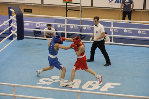 Heydar Aliyev Cup-2024: 9 more boxers reached the finals - PHOTO