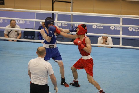Heydar Aliyev Cup-2024: 9 more boxers reached the finals - PHOTO