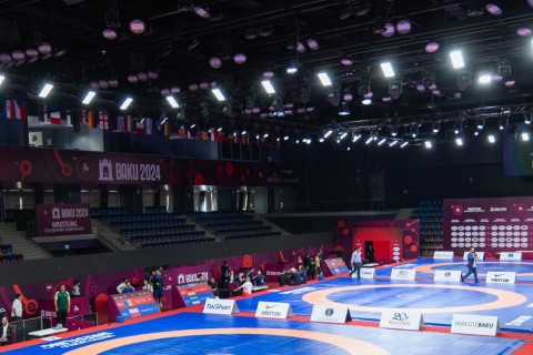 Чемпионат Европы: Хасай Гасанлы и Зия Бабашов в финале - ФОТО