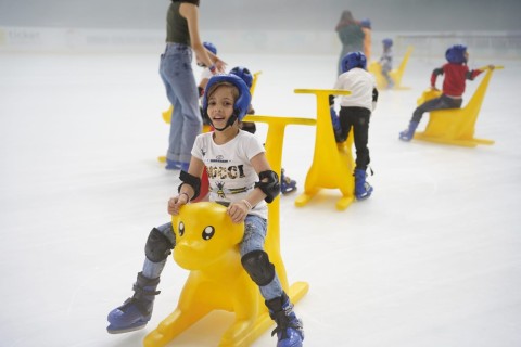Fun master-class on ice - PHOTO
