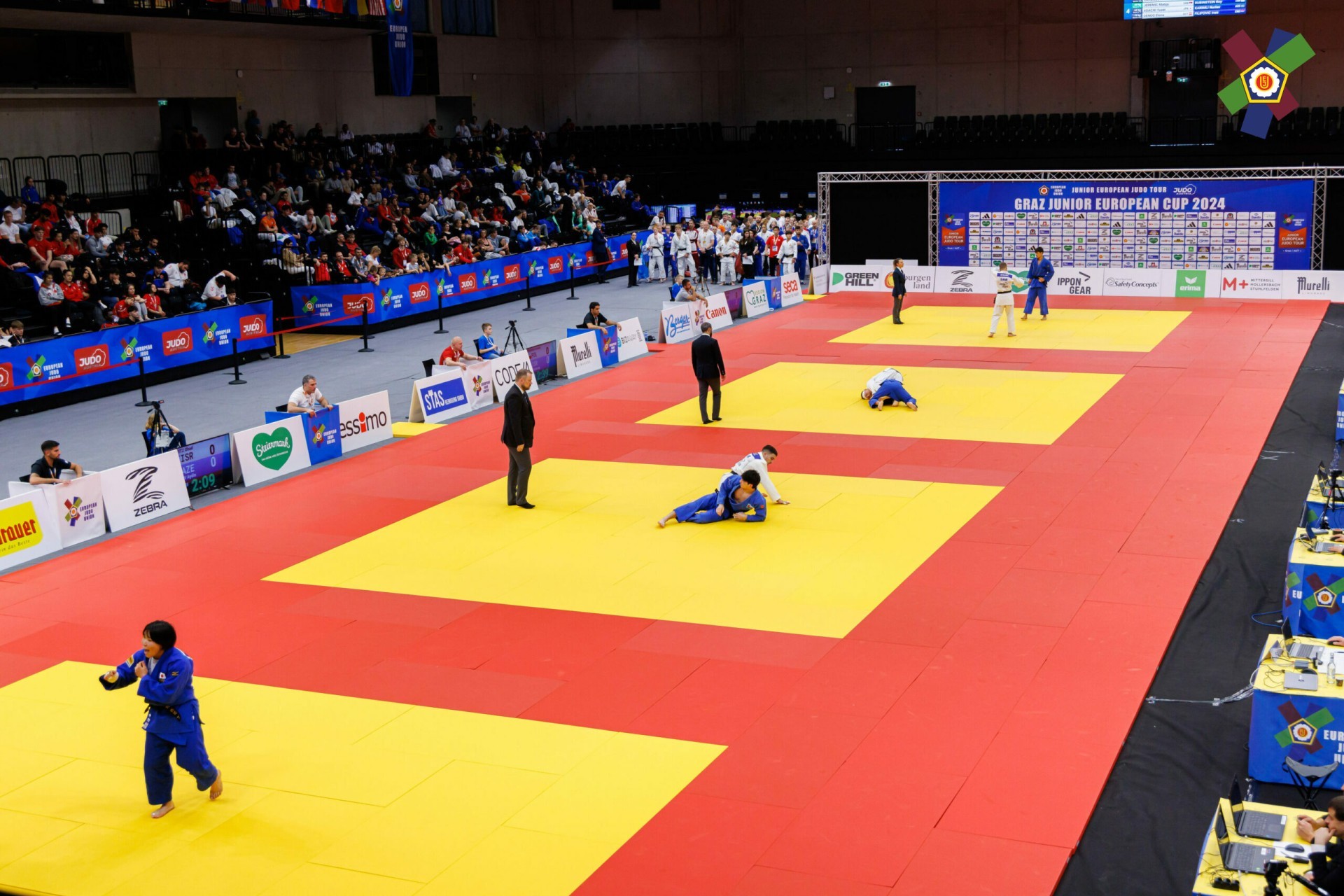 European Cup: 3 gold and 1 bronze from Azerbaijan