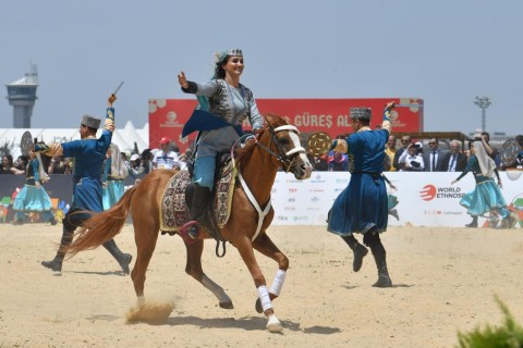 14 карабахских лошадей на международном фестивале - ФОТО