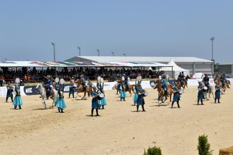 14 карабахских лошадей на международном фестивале - ФОТО