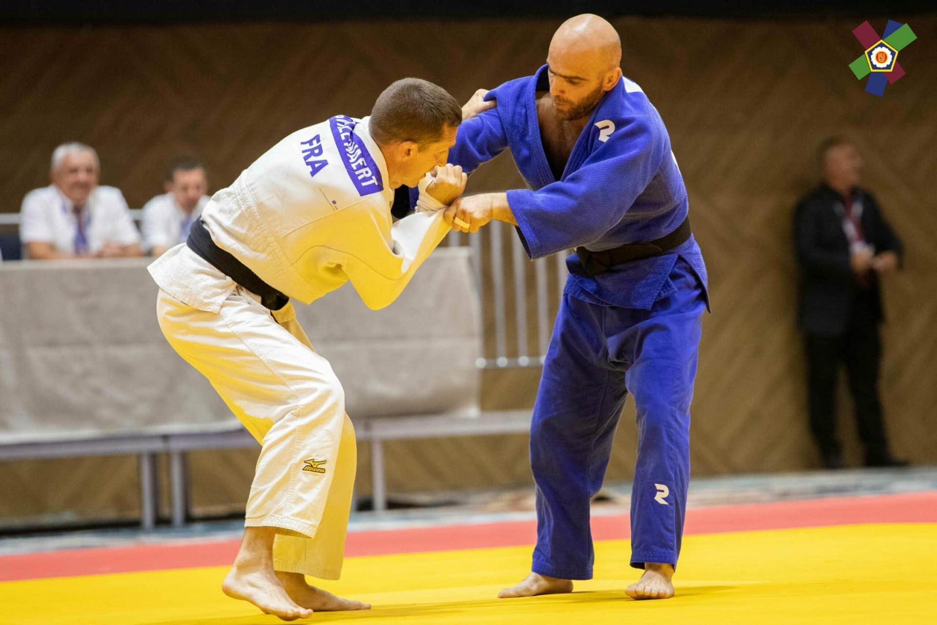 Avropa çempionatında daha 6 medal - FOTO