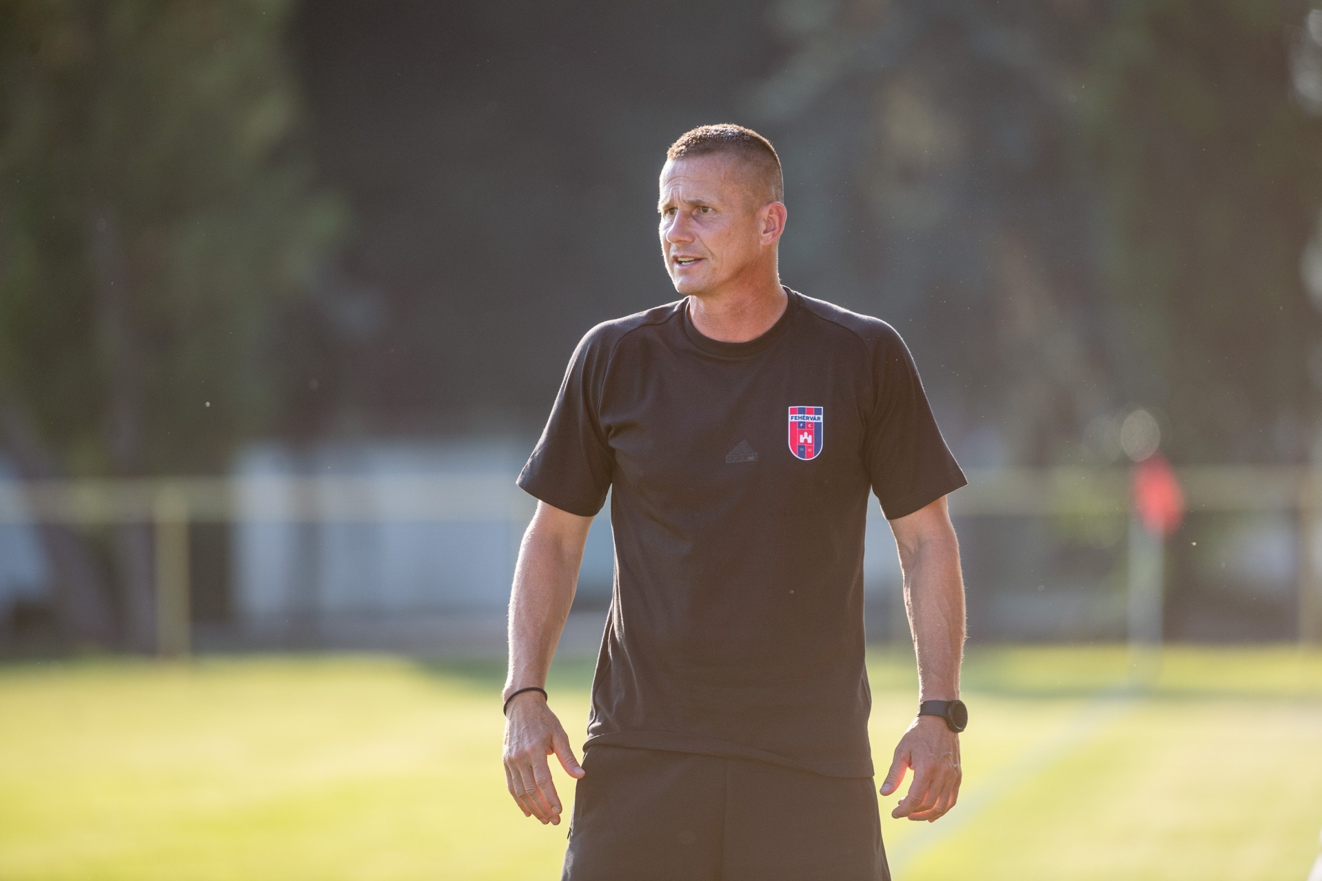 What is the head coach of Fehervar dissatisfied with?