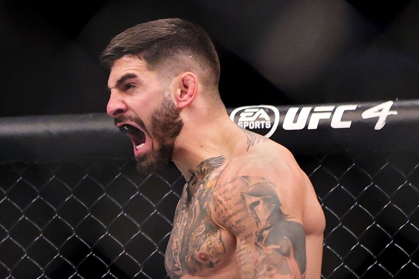 Топурия нокаутировал Холлоуэя на турнире UFC 308