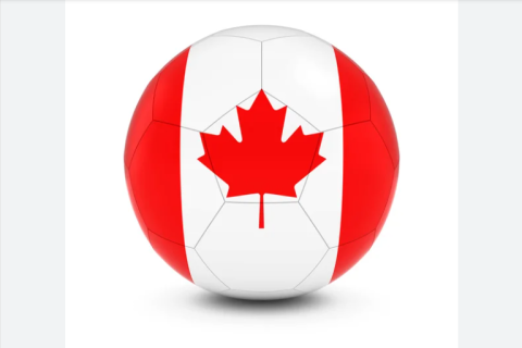 Azərbaycanlı məşqçi Kanadadan iş təklifi alıb