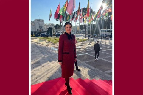 Konul Nurullayeva appointed to a new position