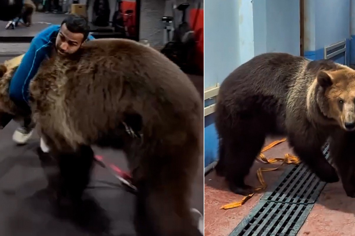 Uzbek boxer Shakhram Giyasov fined for sparring with a bear
