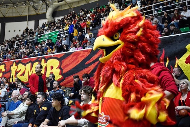 Team mascot detained by police after attempting to attack referee