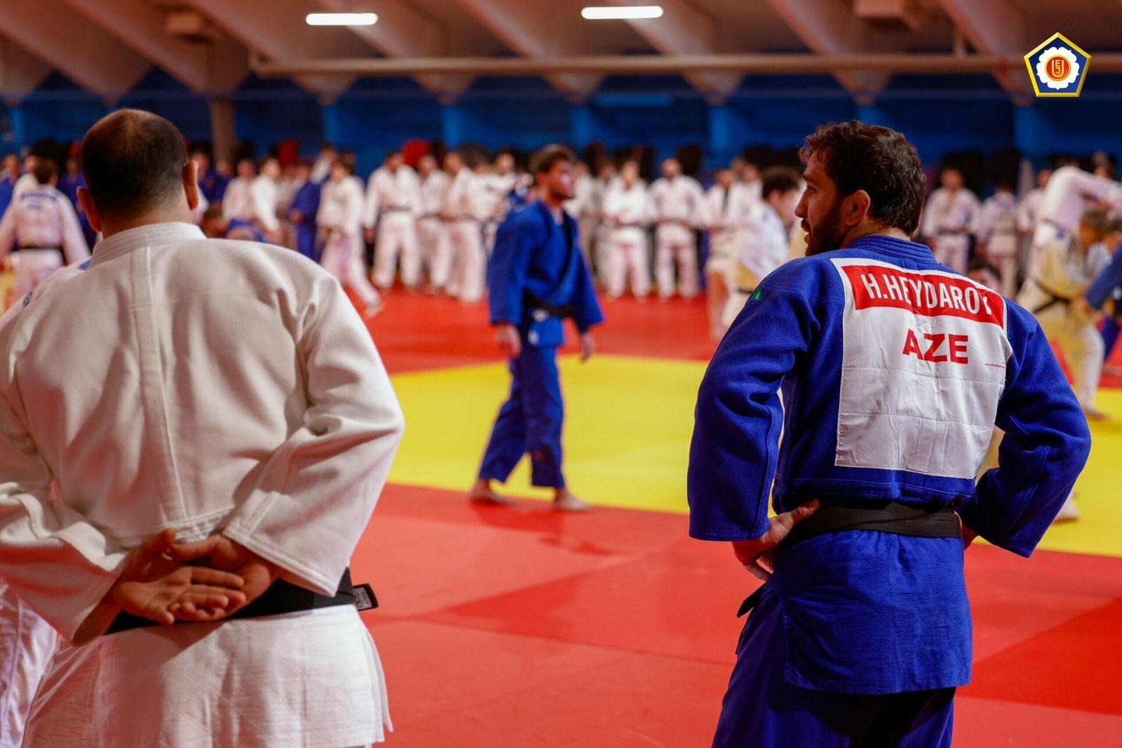 Azerbaijani Judo Team in Austria: PHOTOS from the intensive training camp