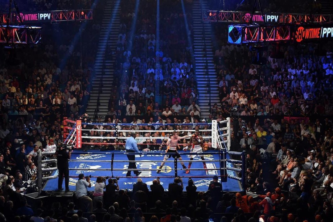 New Boxing League to be created with UFC involvement