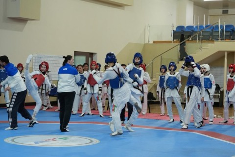 Azerbaijan's taekwondo youth team kicks off 2025 training camp in Baku