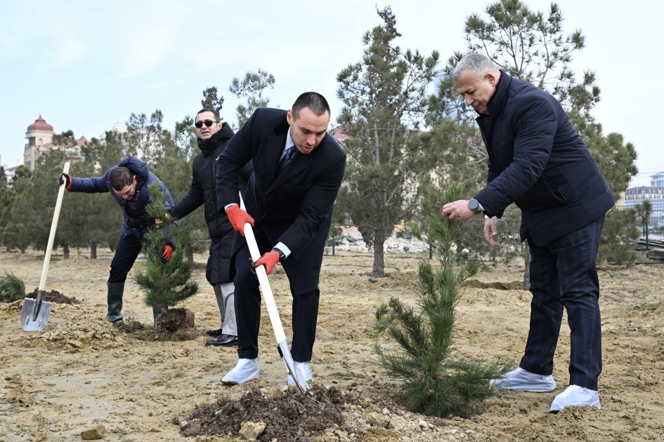 ‘Champions Alley’ created in Trophy Park - PHOTO - VIDEO