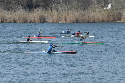 Azerbaijan Rowing Championship concludes - PHOTO