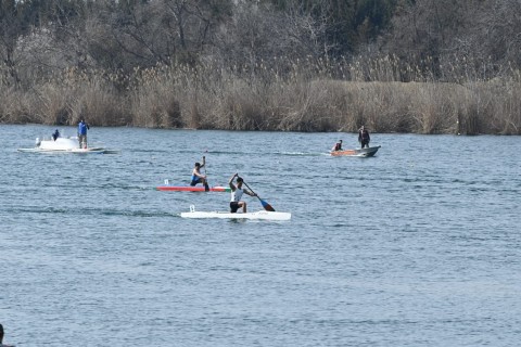 Azerbaijan Rowing Championship concludes - PHOTO