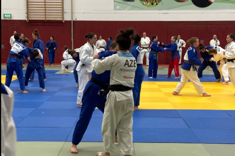 Azerbaijan's judo athletes attend international training camp in Germany – PHOTO