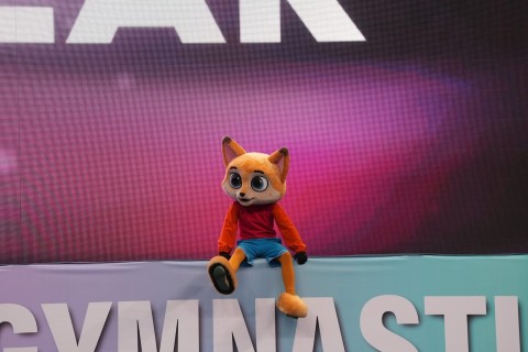 Dörd gimnastımız “AGF Trophy”nin finalında - FOTO