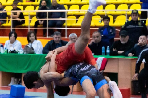 Определились первые победители чемпионата Азербайджана по греко-римской борьбе - ФОТО