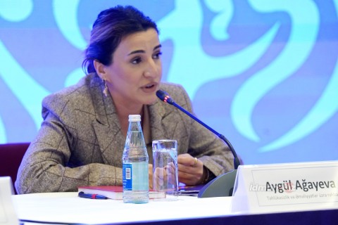Aygul Aghayeva: “Serious work is being done regarding the accommodation of athletes during the Games”