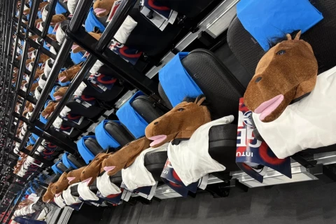 Fans pull off bizarre stunt - PHOTO
